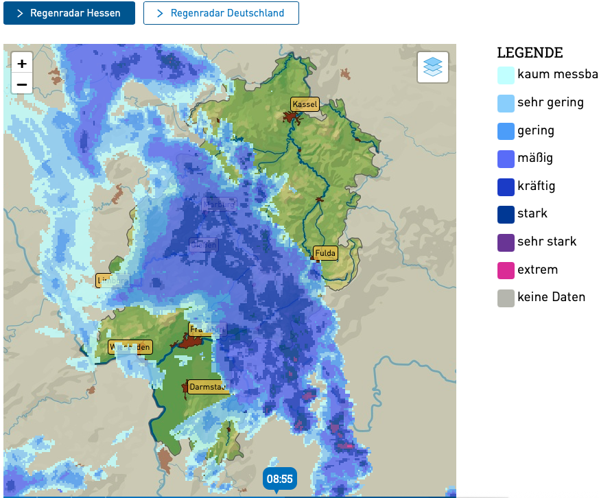 Regenradar vom 15.6.2025, 9:00 Uhr, Screenshot