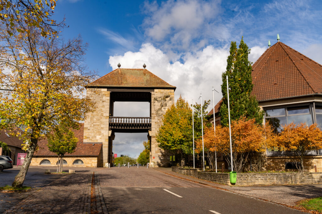 7R401843-1024x683 Schweigen-Rechtenbach