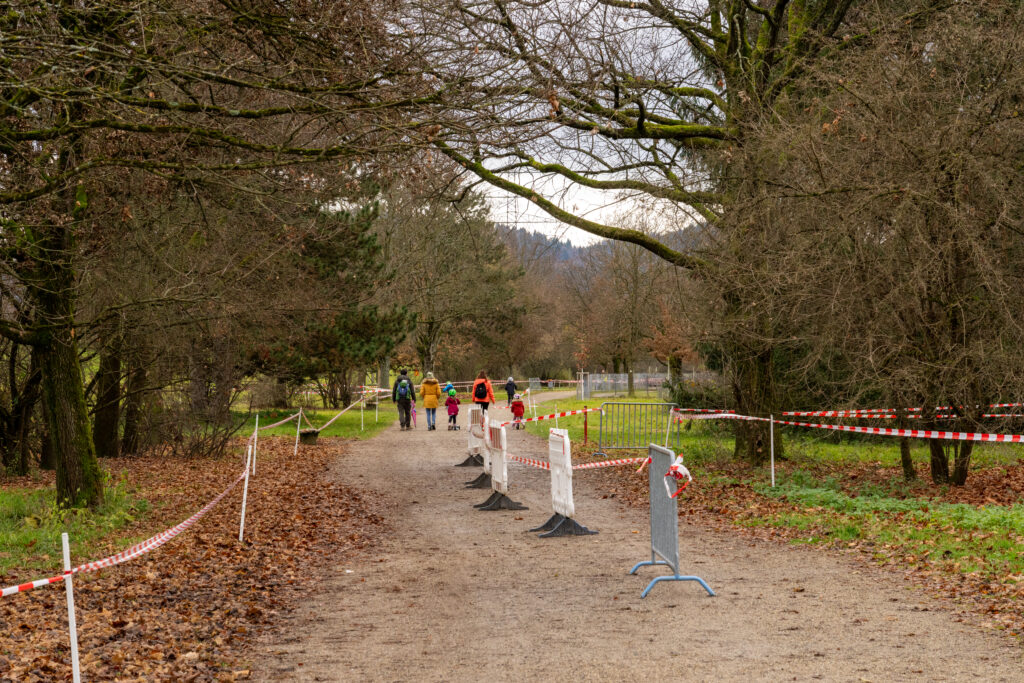 A1_00399-1-1024x683 Entscheidungsfindung