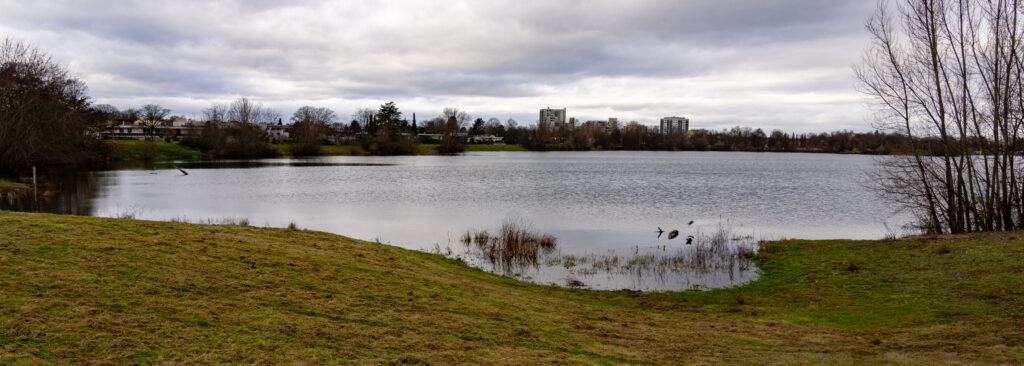 A1_00427-1024x366 (Rund um den) Gifizsee (in) Offenburg